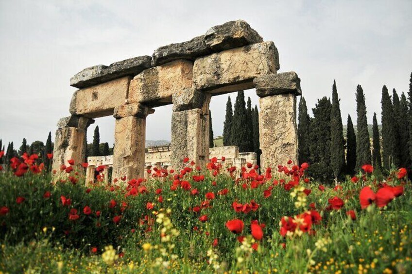 Ancient stone ruins with red poppies in the foreground. 2
