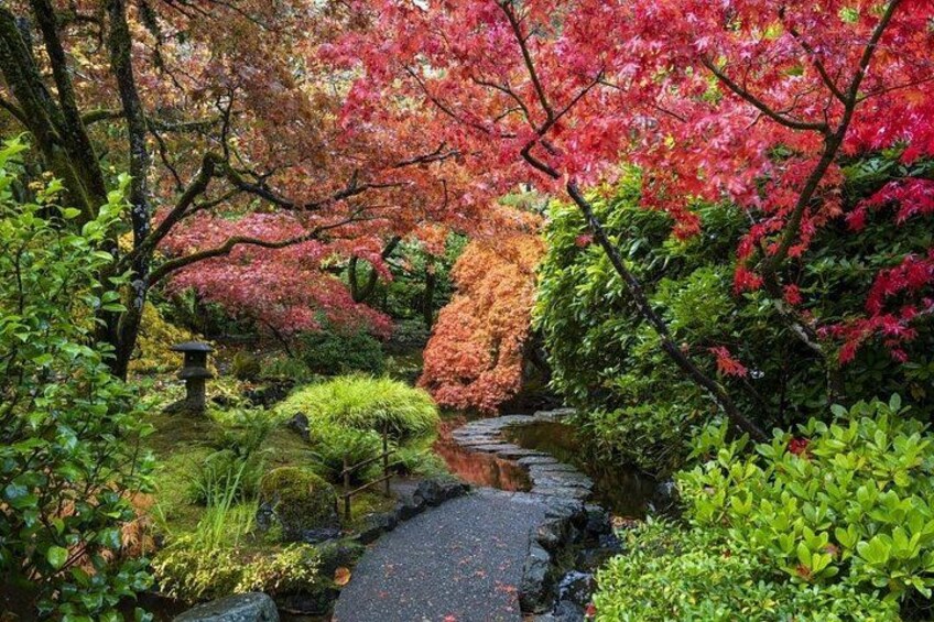 A serene garden with a stone path, vibrant foliage, and a traditional Japanese stone lantern. 2