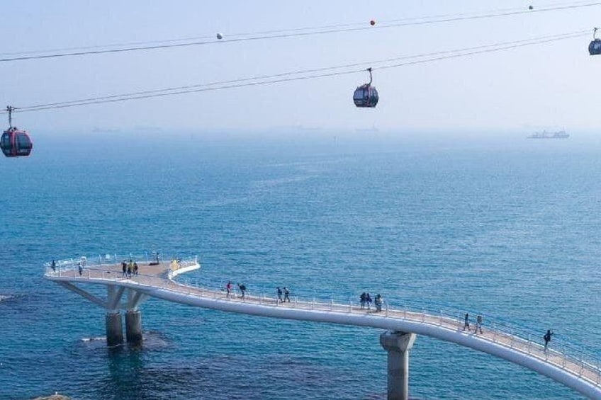 Enjoy the thrill of Busan’s skywalks at Oryukdo and Songdo with stunning ocean views. 5