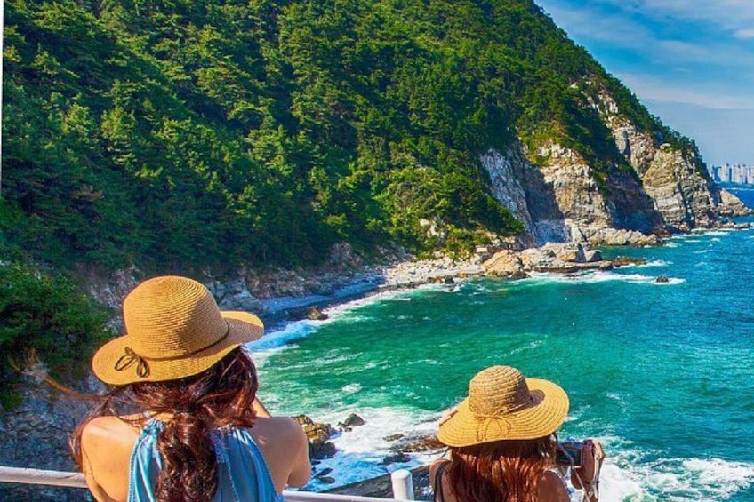 Busan Highlights Day Tour: Sky Capsule, Gamcheon, Oryukdo & Huinnyeoul Village 4