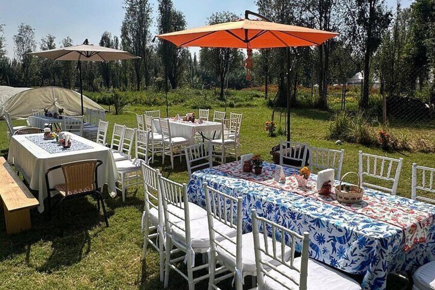 Disfruta la mañana en Xochimilco 3