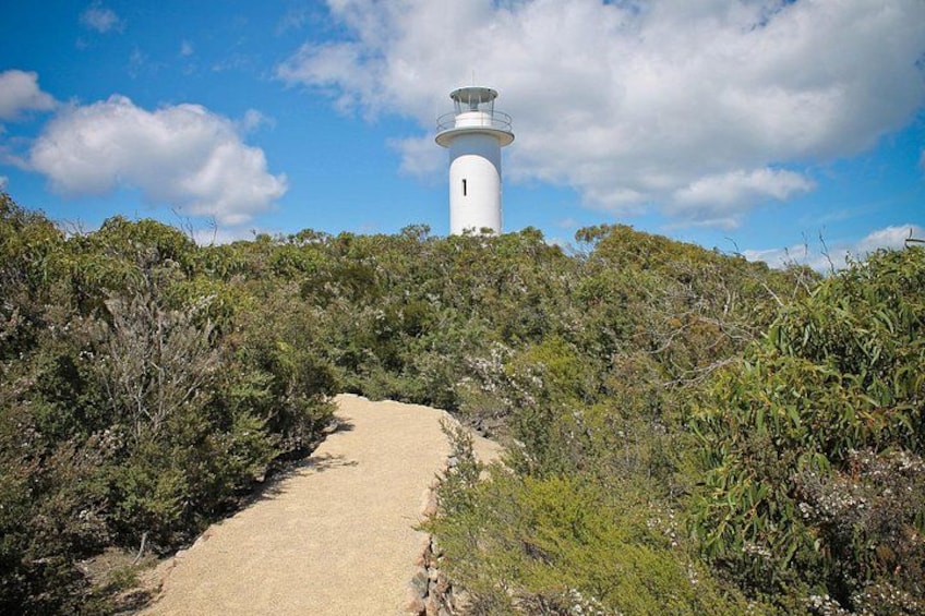 Un phare blanc, perché sur une colline, entouré d’une végétation luxuriante et verdoyante, et un sentier de terre qui y mène. 5