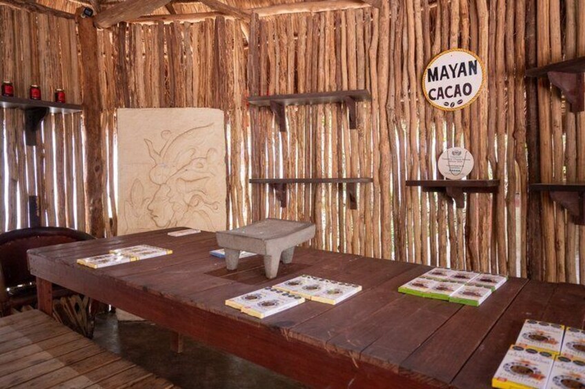 Otoch Cozumel Mayan Cultural Tour with Cenote, Tastings & Tequila 3
