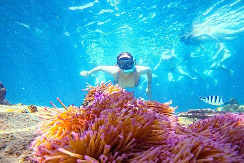 Amazing 5 Point Snorkeling Tour in Koh Tao and Koh Nang Yuan 3