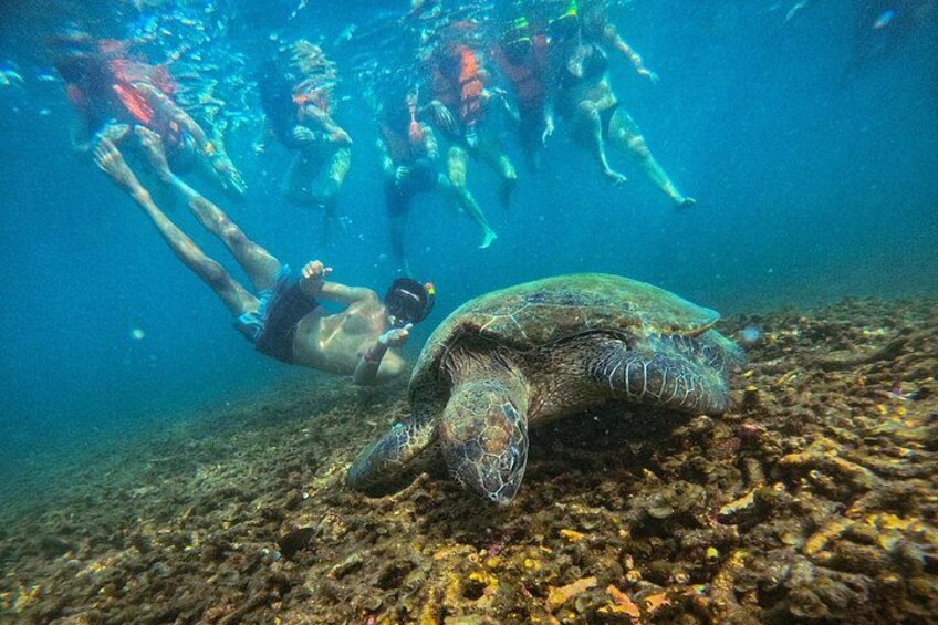Amazing 5 Point Snorkeling Tour in Koh Tao and Koh Nang Yuan 4