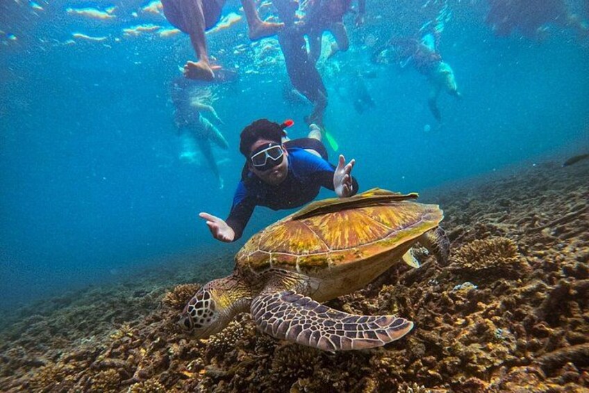 Amazing 5 Point Snorkeling Tour in Koh Tao and Koh Nang Yuan 5