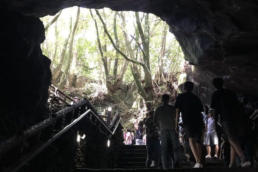 Jeju East Small-Group(Max 12) Bestseller Tour- From Seogwipo 2