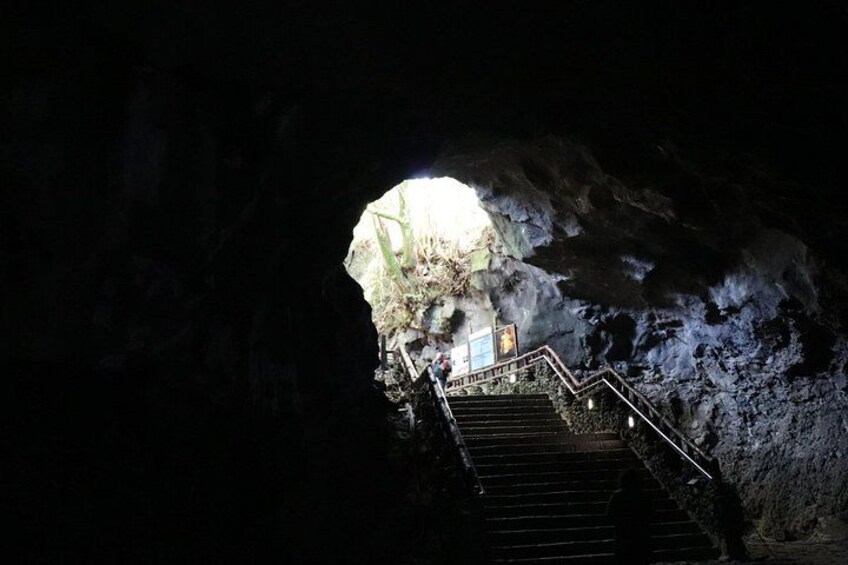 Jeju East Small-Group(Max 12) Bestseller Tour- From Seogwipo 5
