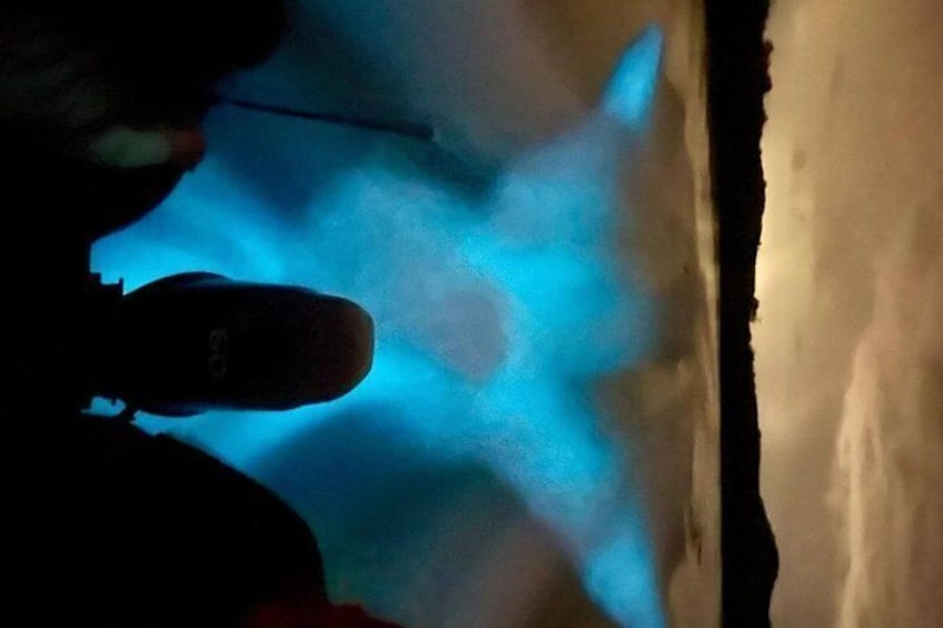 Bioluminescent Bay Boat Tour in La Parguera 2