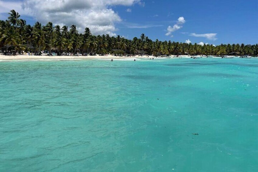 A turquoise sea, a sandy beach, and a line of palm trees. 1