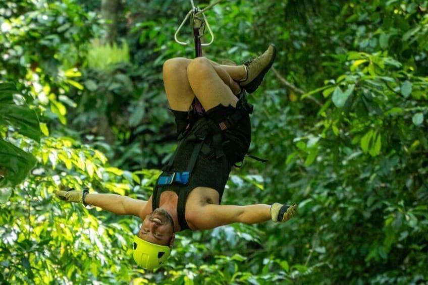 A person suspended in mid-air by a harness, surrounded by dense green foliage. 3