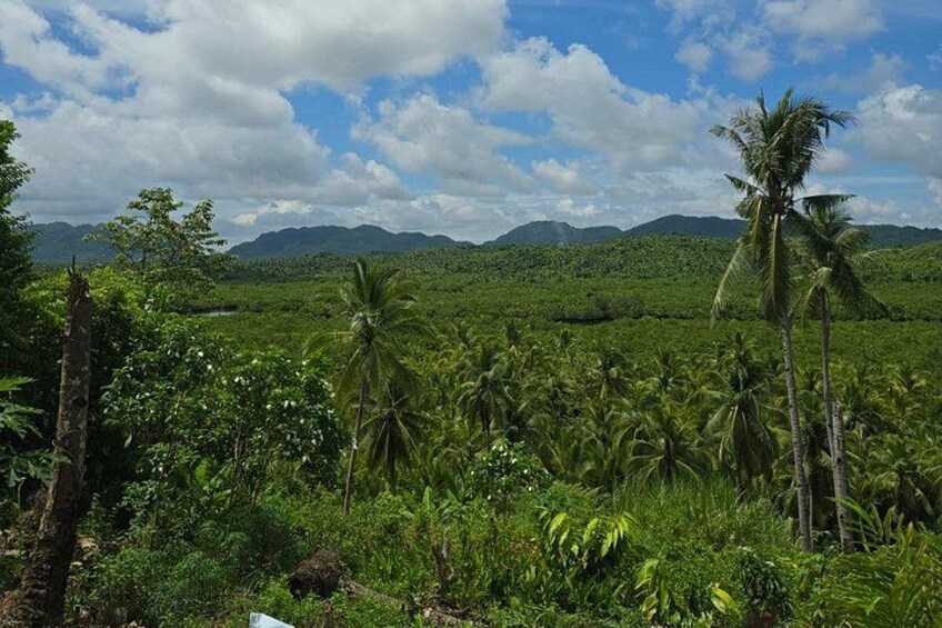 Coconut Valley Plantation & Mangroves View Deck 5