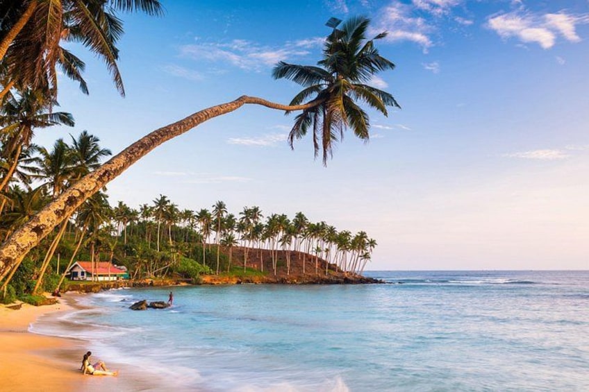A beach with palm trees, a house, and a calm sea. 4