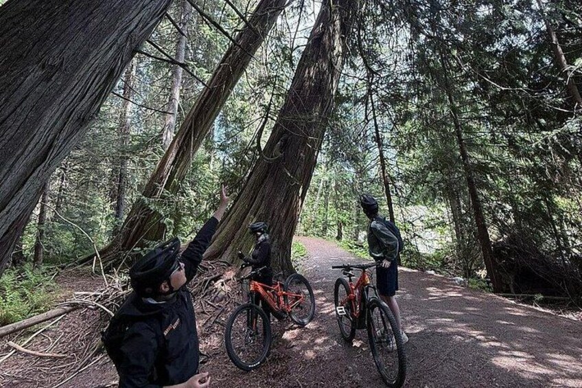 Scenic Valley Ride - Whistlrr EBike Tour - Marmot Activity 4