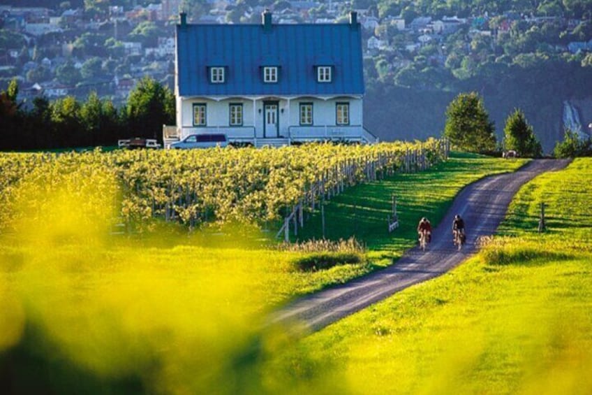 Half-Day tour by private car (offers services in 5 languages) 5