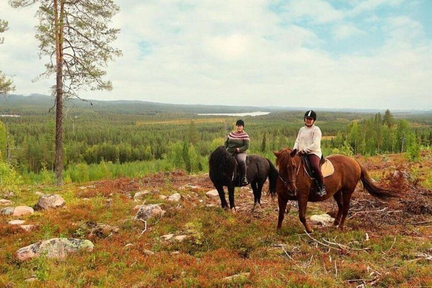 Zwei Personen reiten auf Pferden einen grasbewachsenen Hügel hinauf, im Hintergrund eine bewaldete Landschaft. 3