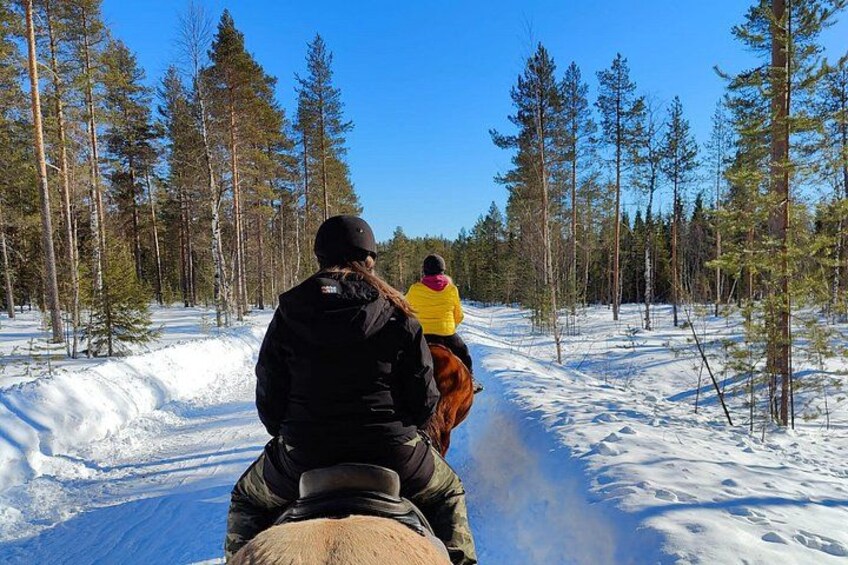 Eine Person reitet ein Pferd auf einem verschneiten Waldweg. 5