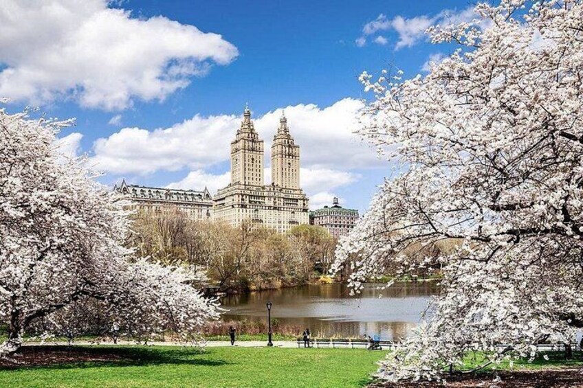 Central Park Pedicab Tour with local Guide 4