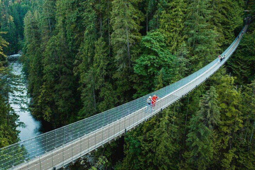 A suspension bridge over a river surrounded by dense forest. 1