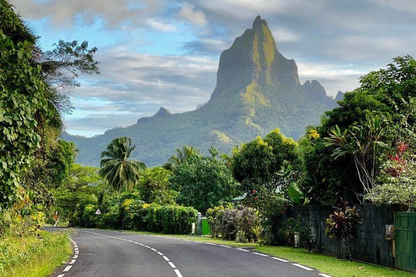 Huahine Private Shore Tour: Fare, Maeva & Island Flavors 5