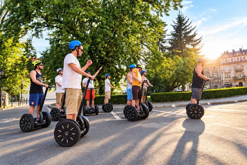 People riding Segways on a sunny street lined with trees and buildings. 5