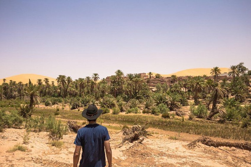 A person standing in a desert landscape with palm trees and sand dunes in the background. 2