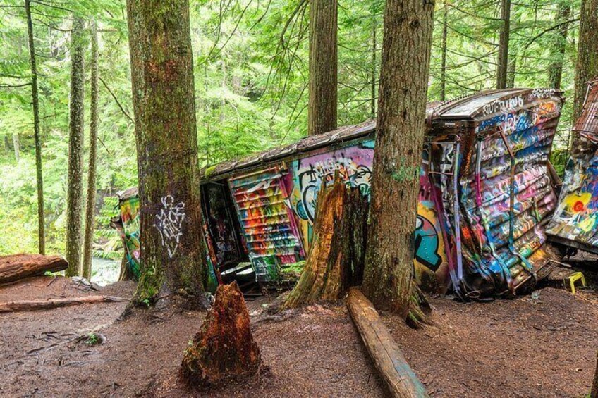 En skov med graffiti-dækkede bygninger, der læner sig op ad træerne. 3