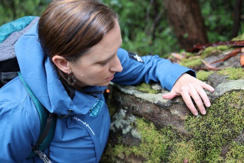A person in a blue jacket leaning on a moss-covered rock. 2