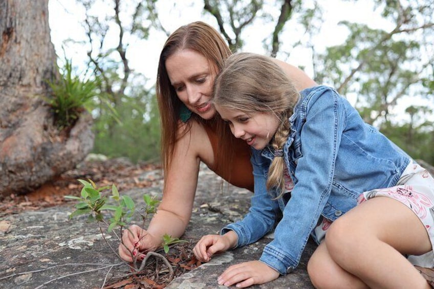 To personer planter et træ i et stengrundt naturområde. 2