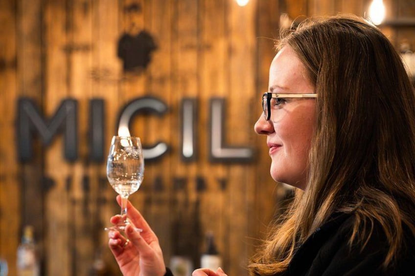 A person holding a wine glass in front of a wooden wall with the letters 'MICIL' visible. 2