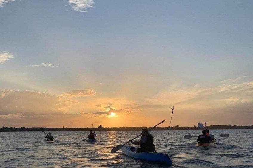 Raby Bay Wildlife Kayak Tour 5