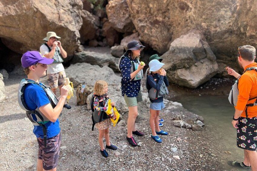 Las Vegas: Guided Kayak Tour from Willow Beach to Emerald Cave 3