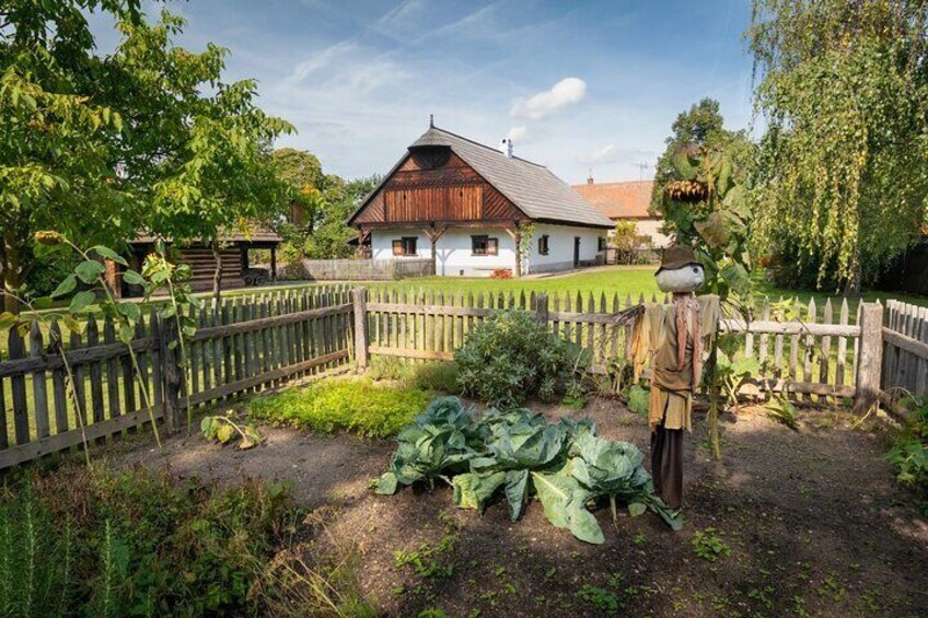 A rustic house with a wooden fence, a garden with green plants, and a scarecrow in the foreground. 4