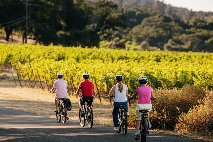 Four cyclists on a road with a vineyard in the background. 2