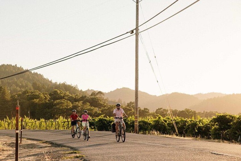 Riding on e-bikes through the vineyards 2