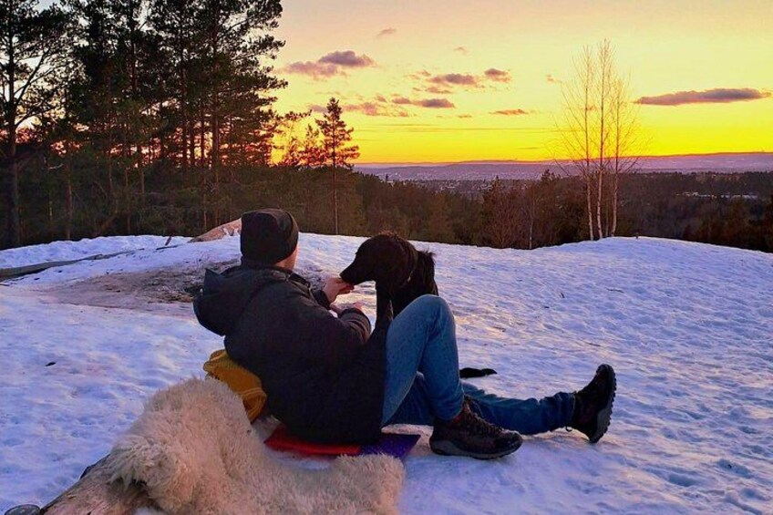Oslo: Relaxing Panoramic Hike With Local Guide and Dog 3
