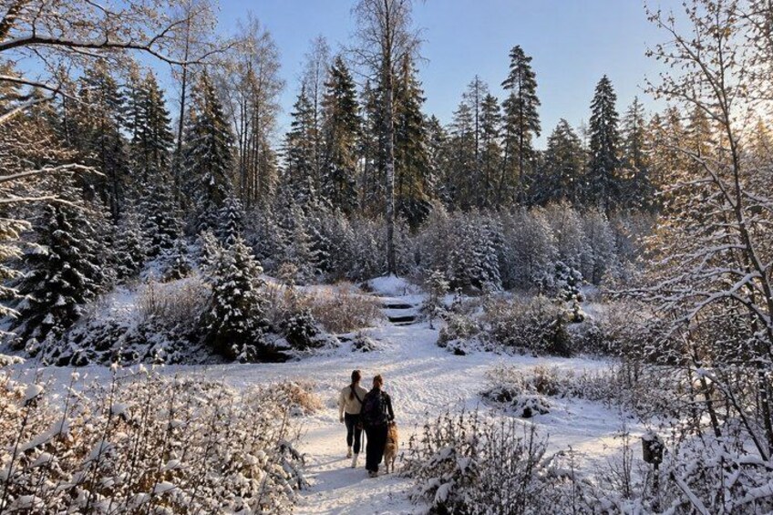 A snowy forest path with people walking. 5