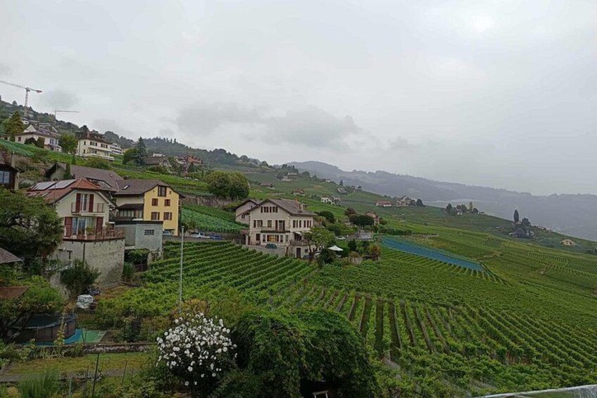 Great Wine Capital Lausanne, winetaste at Lavaux vineyards 5