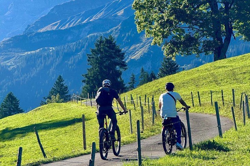 Griesalp UNESCO Alpine E-Bike Adventure from Interlaken 1