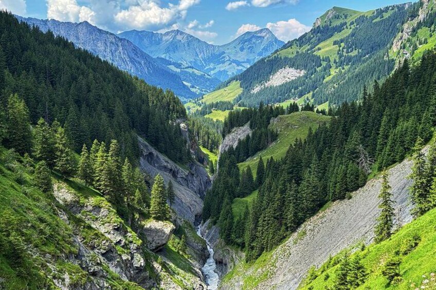 A mountainous landscape with a valley, dense forests, and distant peaks. 2