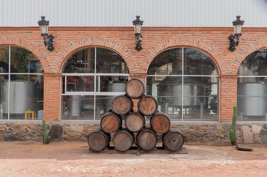 Classic Tequila Tour from GDL and CANTARITOS EL GÜERO EXTENDED! 2