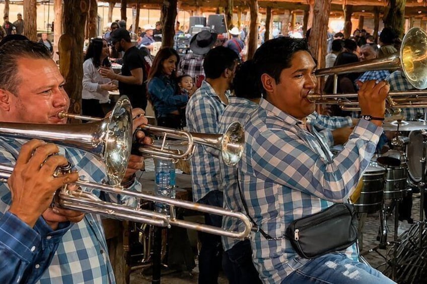 Classic Tequila Tour from GDL and CANTARITOS EL GÜERO EXTENDED! 2