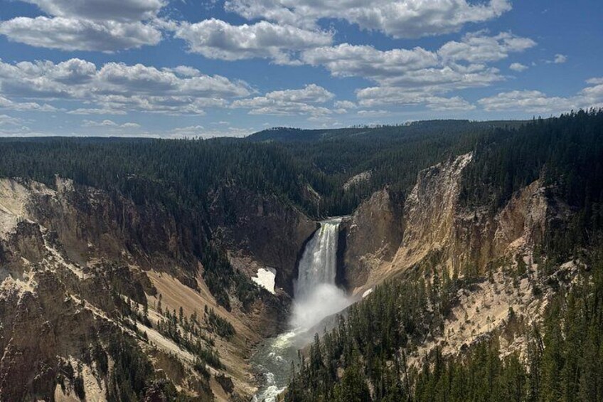 PRIVATE Yellowstone Full Day Tour From Jackson Hole 2