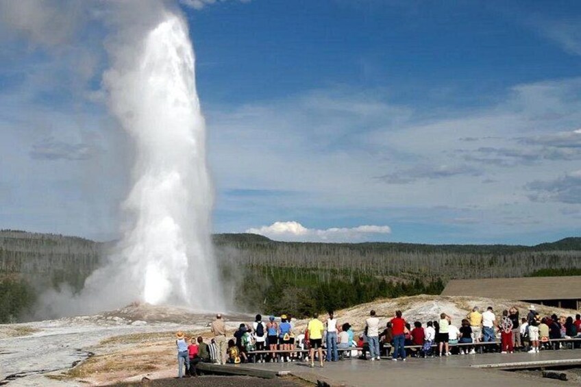 Ein Geysir bricht aus, während eine Menschenmenge von einer Aussichtsplattform aus zusieht. 1