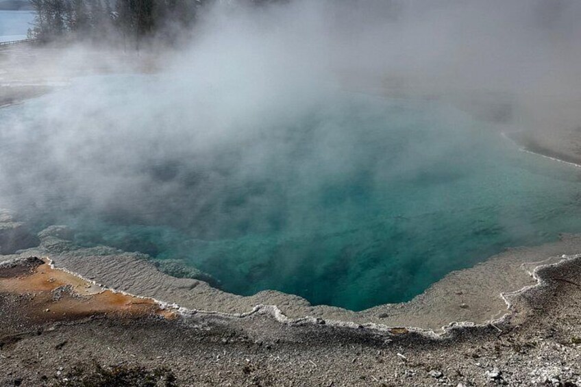 PRIVATE Yellowstone Full Day Tour From Jackson Hole 3