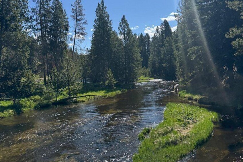 PRIVATE Yellowstone Full Day Tour From Jackson Hole 4