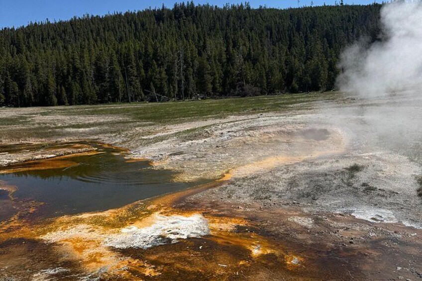 PRIVATE Yellowstone Full Day Tour From Jackson Hole 5