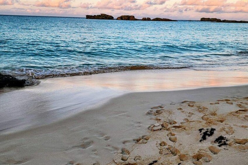Step into beauty #forshore 5