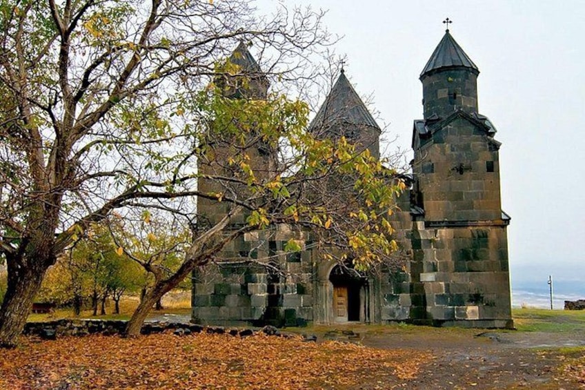 A stone church with two towers and a large tree in the foreground. 5