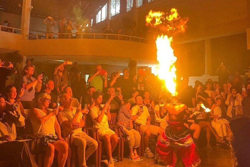 A crowd watching a performer with a fire act. 3